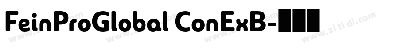 FeinProGlobal ConExB字体转换